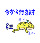 アルビノクランウェル ツノガエルスタンプ（個別スタンプ：11）