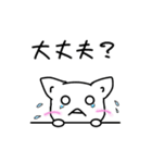 日常会話のスタンプを白ネコ犬と共に。（個別スタンプ：12）