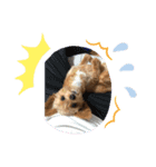 イヴバーバ（個別スタンプ：4）