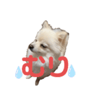 レンくんテテくん（個別スタンプ：1）