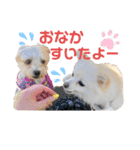 レンくんテテくん（個別スタンプ：2）
