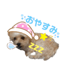 レンくんテテくん（個別スタンプ：5）