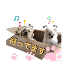 レンくんテテくん（個別スタンプ：6）