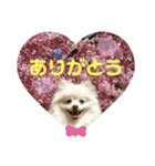 レンくんテテくん（個別スタンプ：9）