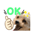 レンくんテテくん（個別スタンプ：11）