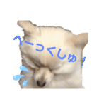 レンくんテテくん（個別スタンプ：15）