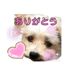 レンくんテテくん（個別スタンプ：17）