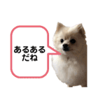レンくんテテくん（個別スタンプ：22）