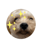 レンくんテテくん（個別スタンプ：23）