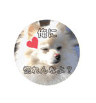 レンくんテテくん（個別スタンプ：27）