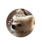 レンくんテテくん（個別スタンプ：28）