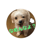 レンくんテテくん（個別スタンプ：31）