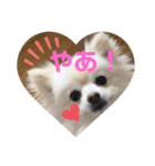 レンくんテテくん（個別スタンプ：32）