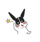 パンダうさぎさんと時々カメちゃん（個別スタンプ：3）