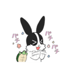 パンダうさぎさんと時々カメちゃん（個別スタンプ：5）