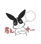 パンダうさぎさんと時々カメちゃん（個別スタンプ：10）
