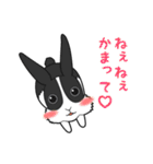 パンダうさぎさんと時々カメちゃん（個別スタンプ：14）