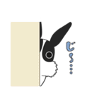 パンダうさぎさんと時々カメちゃん（個別スタンプ：29）