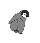 使いやすいシンプルなペンギンのスタンプ（個別スタンプ：1）
