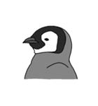 使いやすいシンプルなペンギンのスタンプ（個別スタンプ：2）