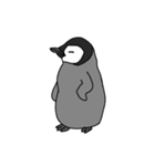 使いやすいシンプルなペンギンのスタンプ（個別スタンプ：14）