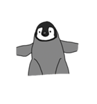 使いやすいシンプルなペンギンのスタンプ（個別スタンプ：16）