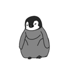 使いやすいシンプルなペンギンのスタンプ（個別スタンプ：24）