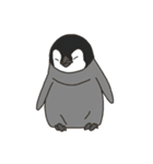 使いやすいシンプルなペンギンのスタンプ（個別スタンプ：32）