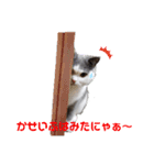 にゃんともなんだなぁ（個別スタンプ：11）