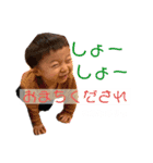 たろのすたんぷよん（個別スタンプ：13）