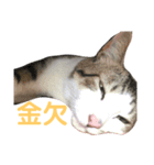 毎日使えるゆずむぎスタンプ（個別スタンプ：4）