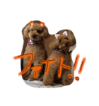 愛犬わんころ（個別スタンプ：4）