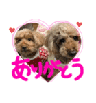 愛犬わんころ（個別スタンプ：5）
