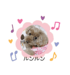 愛犬わんころ（個別スタンプ：6）