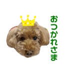 愛犬わんころ（個別スタンプ：7）