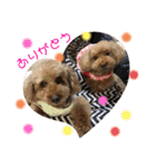 愛犬わんころ（個別スタンプ：16）