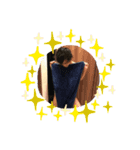 おののすけ（個別スタンプ：3）