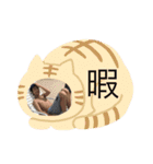 おののすけ（個別スタンプ：16）