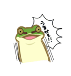 カエルのそこそこつかえるスタンプ（個別スタンプ：14）