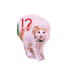 可愛い仲間たち‼（個別スタンプ：4）