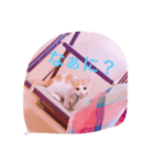 可愛い仲間たち‼（個別スタンプ：8）