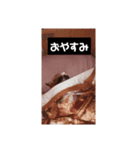 みや いい子（個別スタンプ：1）