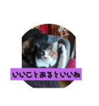 みや いい子（個別スタンプ：2）