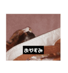 みや いい子（個別スタンプ：4）