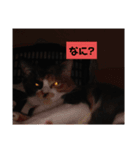 みや いい子（個別スタンプ：5）
