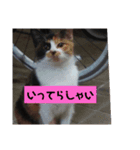 みや いい子（個別スタンプ：6）