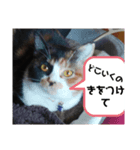 みや いい子（個別スタンプ：7）
