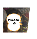 みや いい子（個別スタンプ：8）