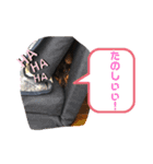 ミニピンモカ（個別スタンプ：4）