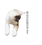 husky baby aldo（個別スタンプ：7）